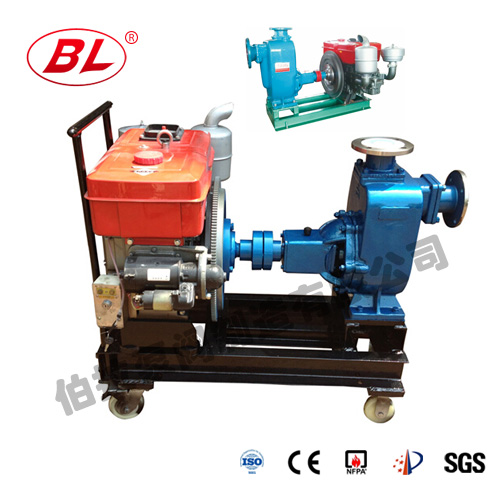 如何更新柴油機泵部件（jiàn）及注意點