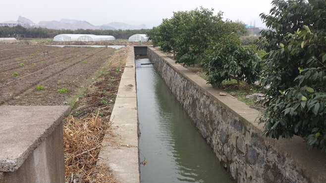 便攜式（shì）柴油機自吸泵